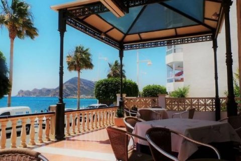 Hotel w Altea, Alicante, Hiszpania 24 sypialnie, 1632 mkw. nr 46685 – zdjęcie 3