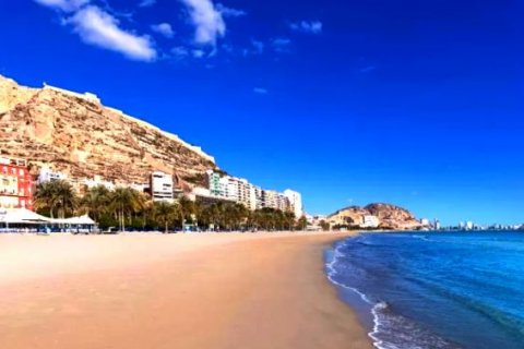 Hotel Alicante, Hiszpania 28 sypialni,  nr 43509 – zdjęcie 1