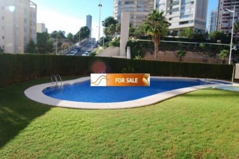 Apartament w Benidorm, Alicante, Hiszpania 3 sypialnie, 85 mkw. nr 45616 – zdjęcie 5