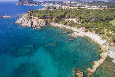 Cala S’Alguer w Palamos, Girona, Hiszpania nr 50409 – zdjęcie 4