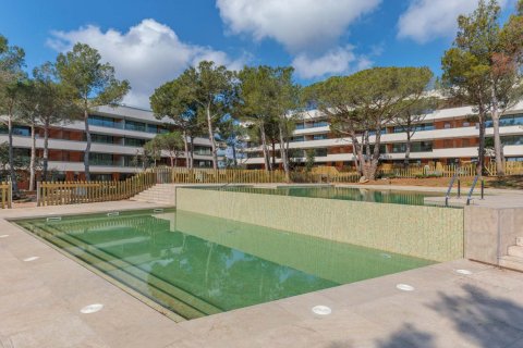 Cala S’Alguer w Palamos, Girona, Hiszpania nr 50409 – zdjęcie 1