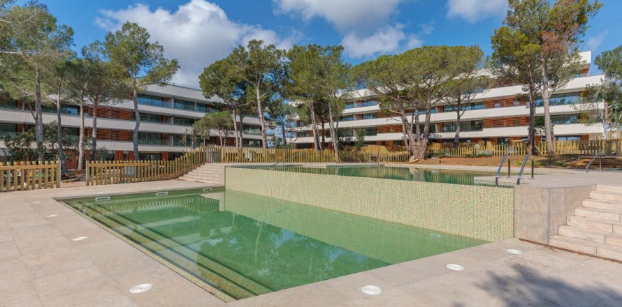 Cala S’Alguer Palamos, Girona, Hiszpania nr 50409