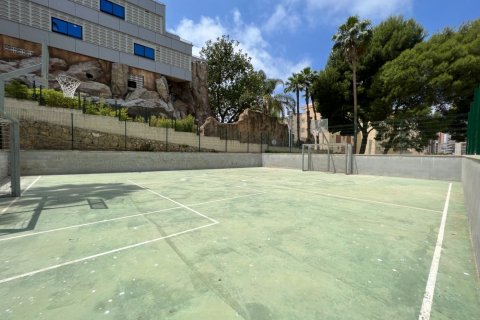 Apartament Rincon De Loix, Alicante, Hiszpania 4 sypialnie,  nr 50702 – zdjęcie 22