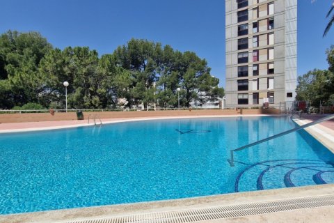 Apartament w Benidorm, Alicante, Hiszpania 2 sypialnie,  nr 50708 – zdjęcie 28
