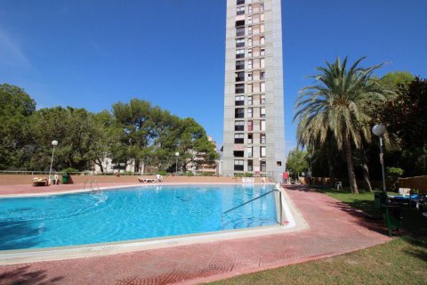 Apartament w Benidorm, Alicante, Hiszpania 2 sypialnie,  nr 50708 – zdjęcie 24