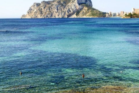 Penthouse Benidorm, Alicante, Hiszpania 4 sypialnie, 250 mkw. nr 50067 – zdjęcie 19