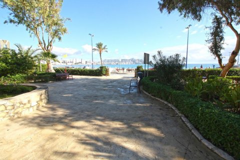 Apartament Benidorm, Alicante, Hiszpania 2 sypialnie,  nr 50721 – zdjęcie 1