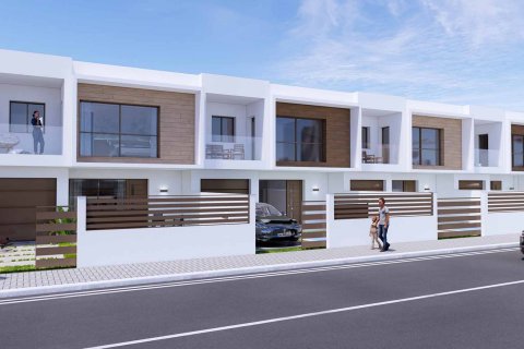 Eucalipto Los Alcazares, Murcia, Hiszpania nr 51590 – zdjęcie 1