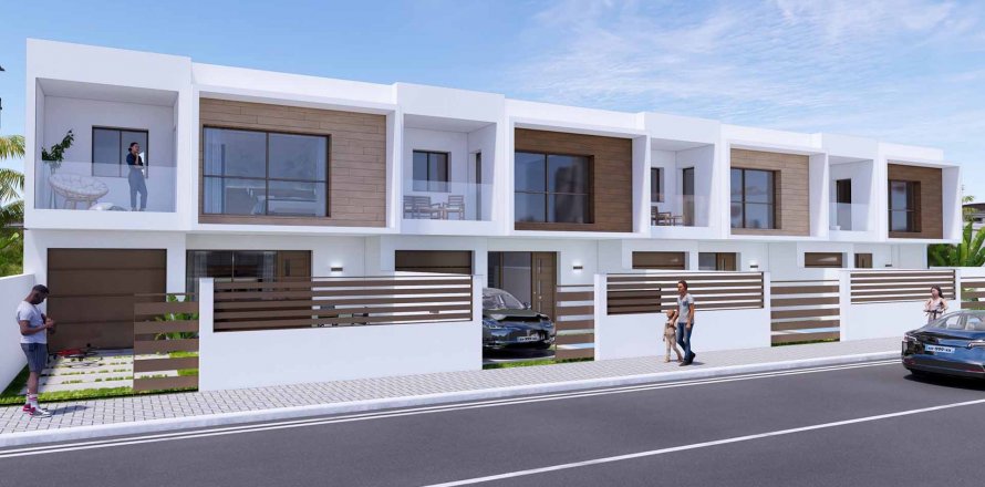 Eucalipto Los Alcazares, Murcia, Hiszpania nr 51590