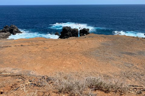 Finka Arucas, Gran Canaria, Hiszpania 6 sypialni, 380 mkw. nr 55203 – zdjęcie 14