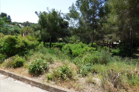 Działka Benissa, Alicante, Hiszpania nr 54276 – zdjęcie 28