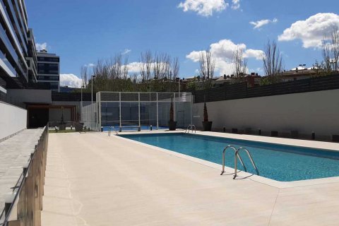 Els Miralls Barcelona, Hiszpania nr 56576 – zdjęcie 13
