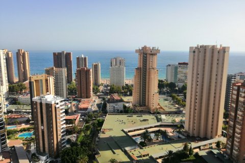 Apartament w Benidorm, Alicante, Hiszpania 1 sypialnia, 60 mkw. nr 58925 – zdjęcie 3