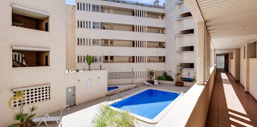Apartament w Torrevieja, Alicante, Hiszpania 2 sypialnie, 47 mkw. nr 58683