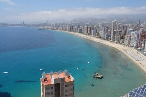 Apartament w Benidorm, Alicante, Hiszpania 1 sypialnia, 60 mkw. nr 58394 – zdjęcie 1