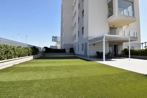 Apartament w La Mata, Alicante, Hiszpania 2 sypialnie, 68 mkw. nr 60287 – zdjęcie 5