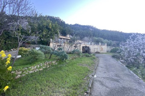 Finka w Banyalbufar, Mallorca, Hiszpania 4 sypialnie, 290 mkw. nr 32599 – zdjęcie 1