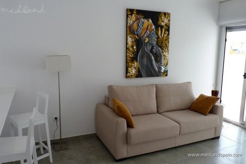 Продажа квартиры в Пилар де ла Орадада, Аликанте, Испания 2 спальни, 79м2 №9164 - фото 4