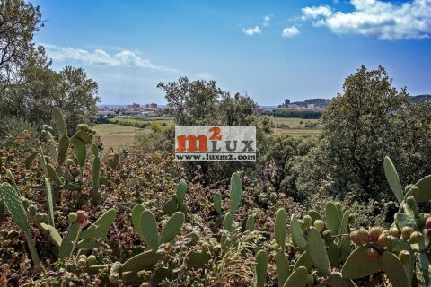 Продажа земельного участка в Сант Антони де Калонже, Герона, Испания 1160м2 №16759 - фото 8