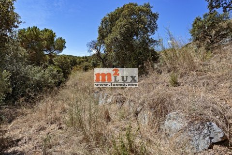 Продажа земельного участка в Калонже, Герона, Испания 2080м2 №16753 - фото 3