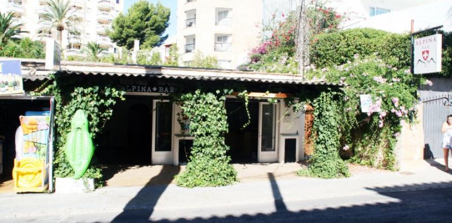 Коммерческая недвижимость в Пегера, Майорка, Испания 100м2 №18501