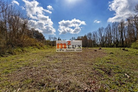 Продажа земельного участка в Флака, Герона, Испания 54345м2 №16741 - фото 7