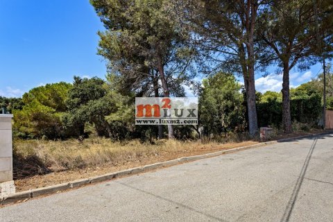 Продажа земельного участка в Сант Антони де Калонже, Герона, Испания 1242м2 №16760 - фото 1