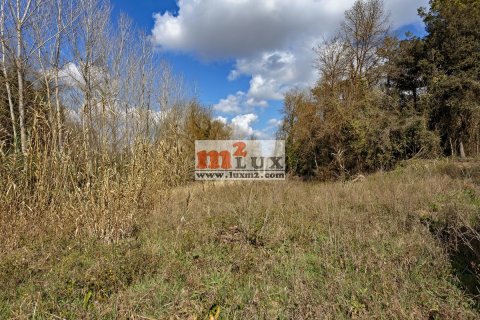 Продажа земельного участка в Флака, Герона, Испания 54345м2 №16741 - фото 6