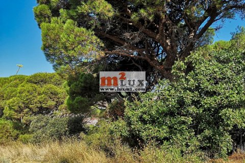 Продажа земельного участка в Сант-Фелиу-де-Гиксолс, Герона, Испания 504м2 №16752 - фото 2