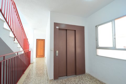 Продажа квартиры в Торре-де-ла-Орадада, Аликанте, Испания 3 спальни, 109м2 №19370 - фото 5