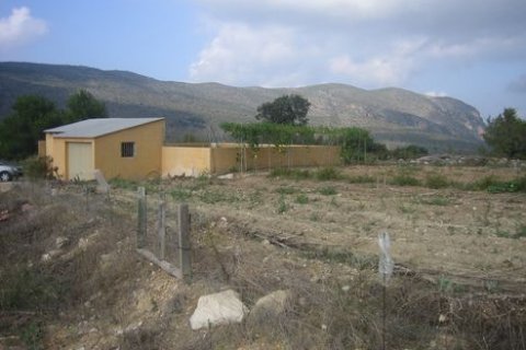 Продажа земельного участка в Бенисса, Аликанте, Испания 18000м2 №24932 - фото 9