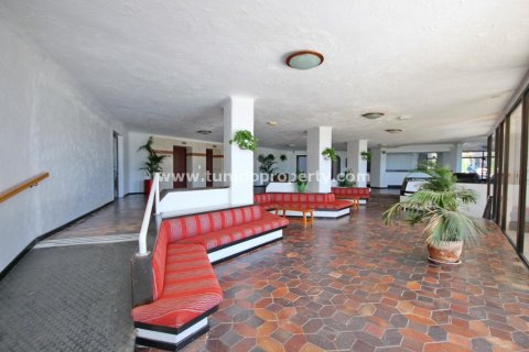 Продажа квартиры в Сан-Эухенио, Тенерифе, Испания 3 спальни, 192м2 №24371 - фото 2