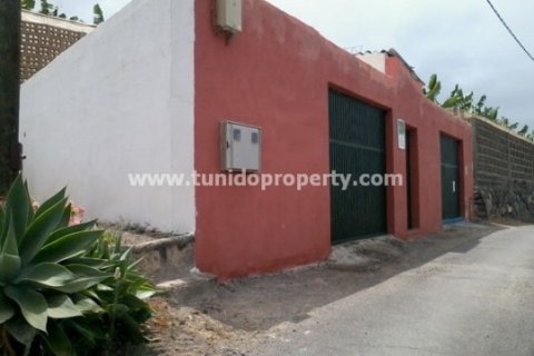 Продажа земельного участка в Гия-де-Исора, Тенерифе, Испания 135000м2 №24325 - фото 2