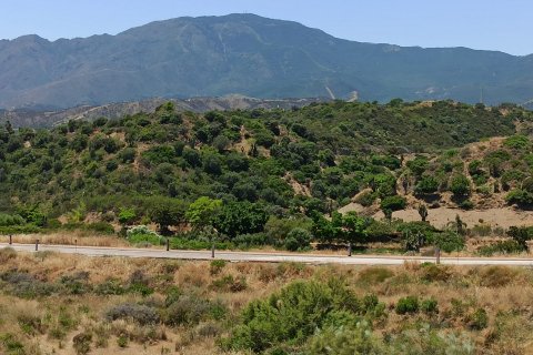 Продажа земельного участка в Эстепона, Малага, Испания 500м2 №21031 - фото 5