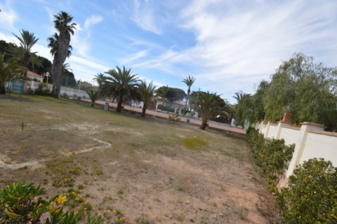 Продажа земельного участка в Кабо Роиг, Аликанте, Испания 1380м2 №19180 - фото 4