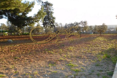 Продажа земельного участка в Сан Жорди де Сес Салинес, Ивиса, Испания 5 спален, 2050м2 №30795 - фото 11