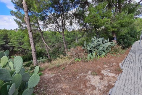 Продажа земельного участка в Порталс-Нус, Майорка, Испания 1550м2 №32247 - фото 1