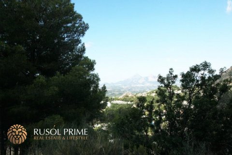 Продажа земельного участка в Алтея, Аликанте, Испания 9586м2 №39425 - фото 3