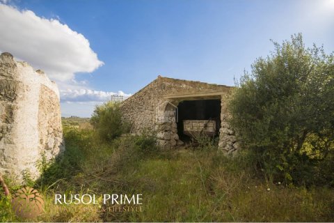 Продажа финки Алайор, Менорка, Испания 10 спален, 548м2 №38962 - фото 15