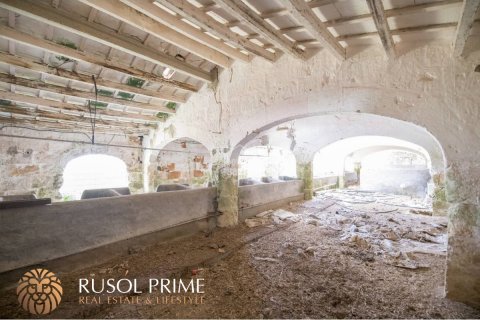 Продажа финки Алайор, Менорка, Испания 10 спален, 548м2 №38962 - фото 12