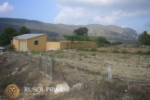 Продажа земельного участка в Бенисса, Аликанте, Испания 18000м2 №39395 - фото 5