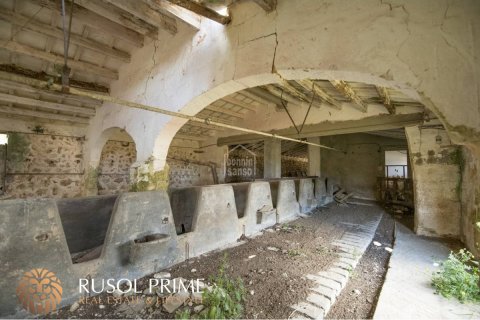 Продажа финки Алайор, Менорка, Испания 10 спален, 548м2 №38962 - фото 10