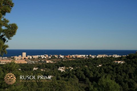 Продажа земельного участка в Хавеа, Аликанте, Испания 1000м2 №39325 - фото 11