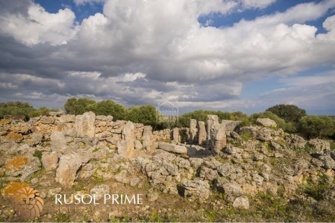 Продажа финки Алайор, Менорка, Испания 10 спален, 548м2 №38962 - фото 3