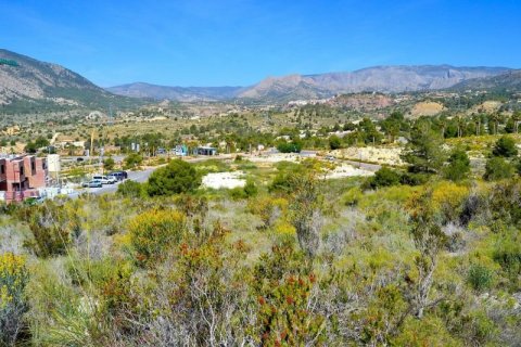Продажа земельного участка в Финестрат, Аликанте, Испания №44386 - фото 4