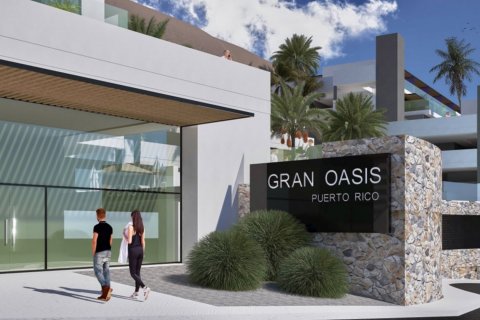 Жилой комплекс Gran Oasis в Лас-Пальмас-де-Гран-Канария, Гран-Канария, Испания №47478 - фото 2