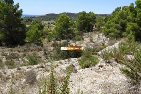 Продажа земельного участка в Финестрат, Аликанте, Испания №45087 - фото 5