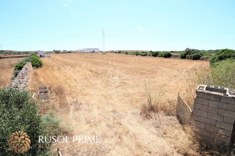 Продажа земельного участка в Сьютаделья-де-Менорка, Менорка, Испания 29583м2 №46970 - фото 3
