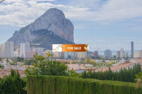 Продажа виллы Кальпе, Аликанте, Испания 6 спален, 260м2 №45023 - фото 7