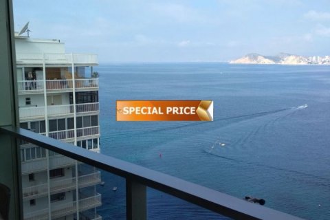 Продажа квартиры в Бенидорм, Аликанте, Испания 1 спальня, 60м2 №44370 - фото 3